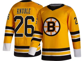 Men's Mike Knuble Boston Bruins 2020/21 Special Edition Jersey - Gold Breakaway