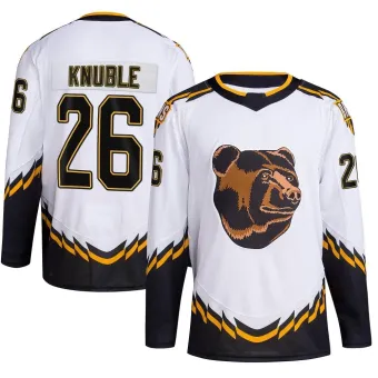 Men's Mike Knuble Boston Bruins Reverse Retro 2.0 Jersey - White Authentic